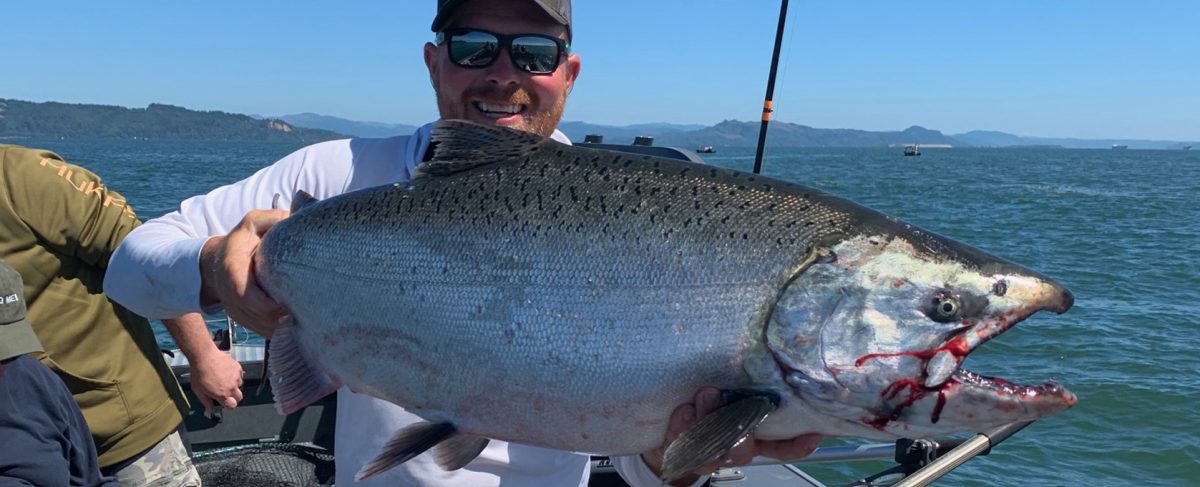 Salmon Fishing - Steel Dreams Fishing Guide Service